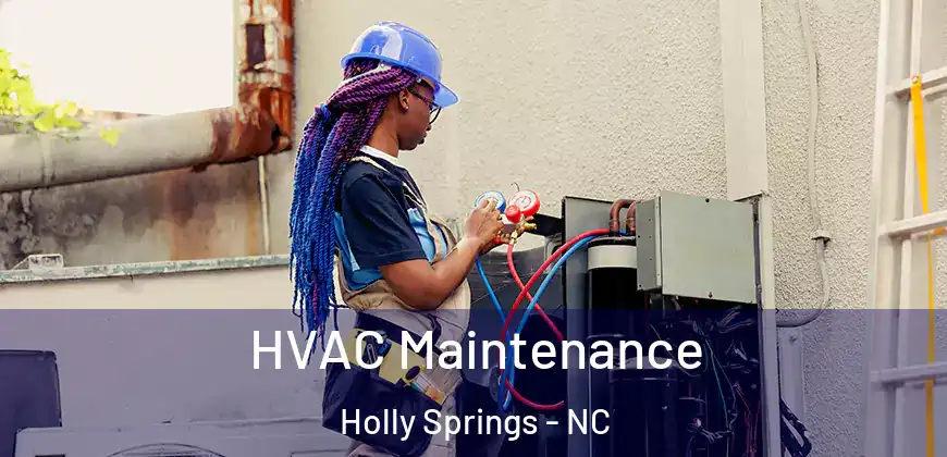  HVAC Maintenance Holly Springs - NC